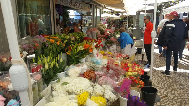 953 cadiz markt
